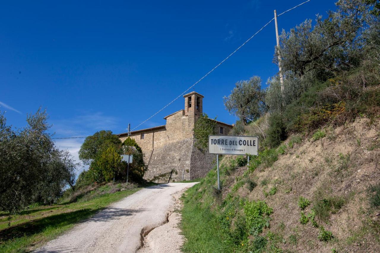 La Vernaccia - Torre Del Colle, Bevagna Exterior photo